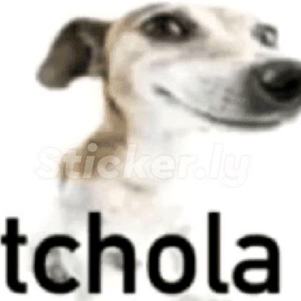 Banner do Grupo Chat de caos